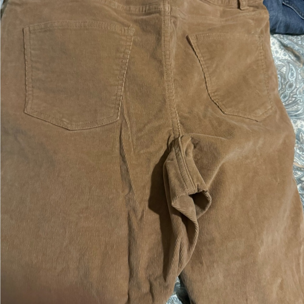 Dip Tan Corduroy Pants - Picture 2 of 4